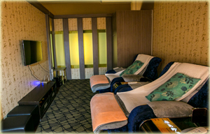 家庭式多人豪华厢房 Family Luxury Suite