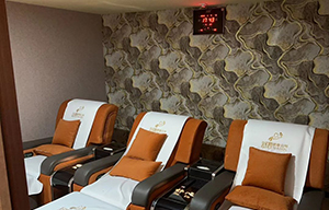 家庭式多人豪华厢房 Family Luxury Suite